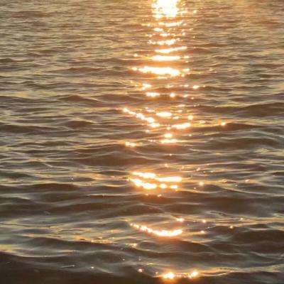 皇冠新体育·(Crown)