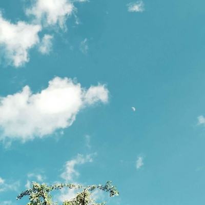 半岛平台半岛官方下载